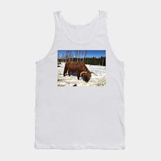 Scottish Highland Cattle Bull 1736 Tank Top